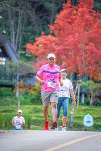 BIB: 4067
                            <button type="button" onclick="openModal(19239983)" class="btn btn-primary btn-sm float-right btn-popup" data-toggle="modal" data-target=".modal-high-quality">
                        <i class="fas fa-shopping-cart"></i> Add to Cart
                    </button>
                                            <button type="button" onclick="isThisMe(19239983, true)" class="btn btn-success btn-sm float-right btn-popup btn-isme hidden" data-toggle="tooltip" data-placement="bottom" title="นี่คือรูปของคุณใช่ไหม คลิกที่นี่เพื่อเอาเข้าอัลบั้ม">
                        <i class="fas fa-plus"></i> Add to album
                    </button>
                    <button type="button" onclick="isThisMe(19239983, false)" class="btn btn-warning btn-sm float-right btn-popup btn-isnotme hidden">
                        <i class="fas fa-ban"></i> Remove from album
                    </button>